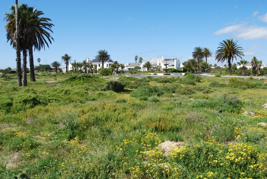 0 Bedroom Property for Sale in Shelley Point Western Cape